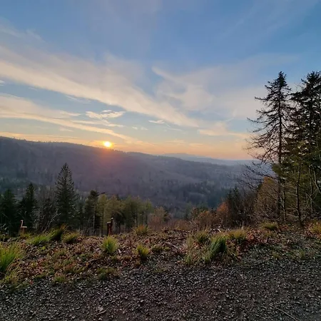 דירה Lesne Szlaki Ap Apartment's ידלינה-זדרוי