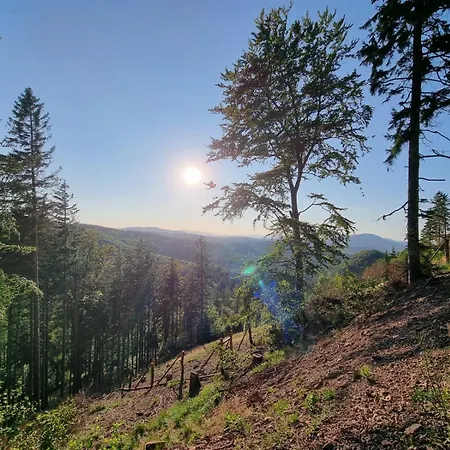 Lesne Szlaki Ap Apartment's * ידלינה-זדרוי