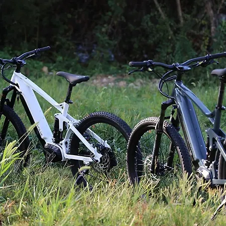 Lesne Szlaki Ap Apartment's דירה ידלינה-זדרוי