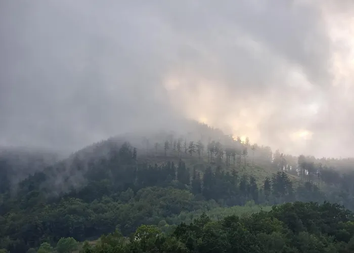 Lesne Szlaki Ap Apartment's