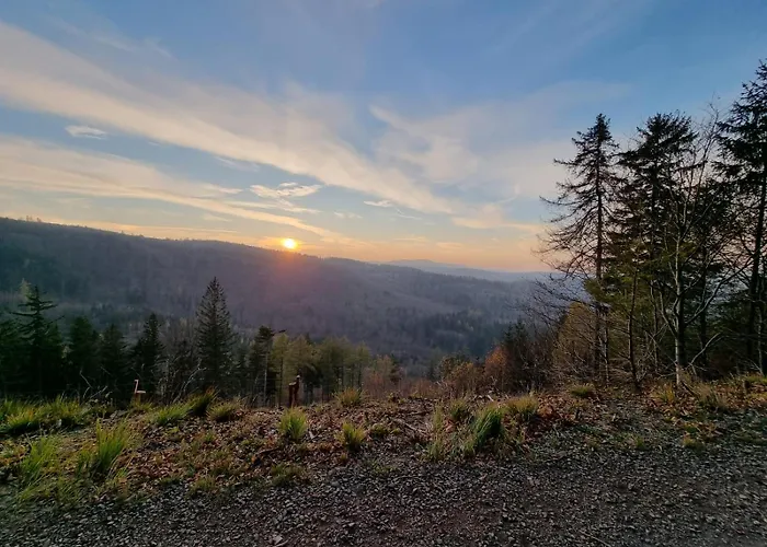 Апартаменты Lesne Szlaki Ap Apartment's Едлина-Здруй