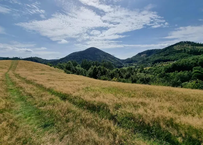 Апартаменты Lesne Szlaki Ap Apartment's