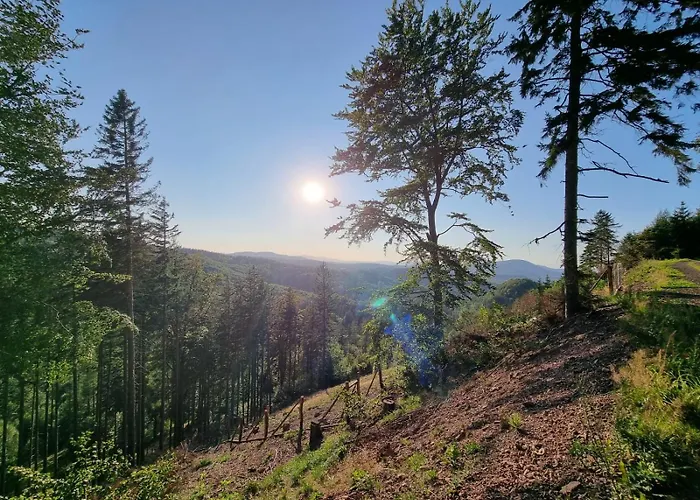 Lesne Szlaki Ap Apartment's * Едлина-Здруй