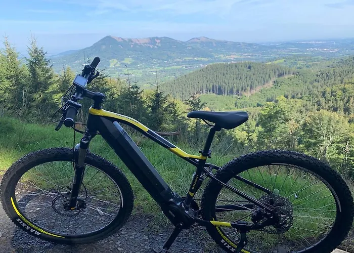 Lesne Szlaki Ap Apartment's Апартаменты Едлина-Здруй