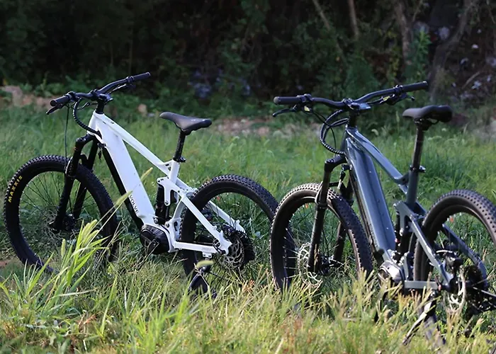 Lesne Szlaki Ap Apartment's Апартаменты Едлина-Здруй