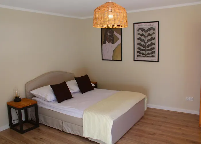 Апартаменты Lesne Szlaki Ap Apartment's Едлина-Здруй